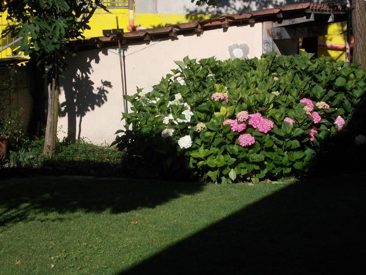 Les Hirondelles Bed and Breakfast Fenis Εξωτερικό φωτογραφία