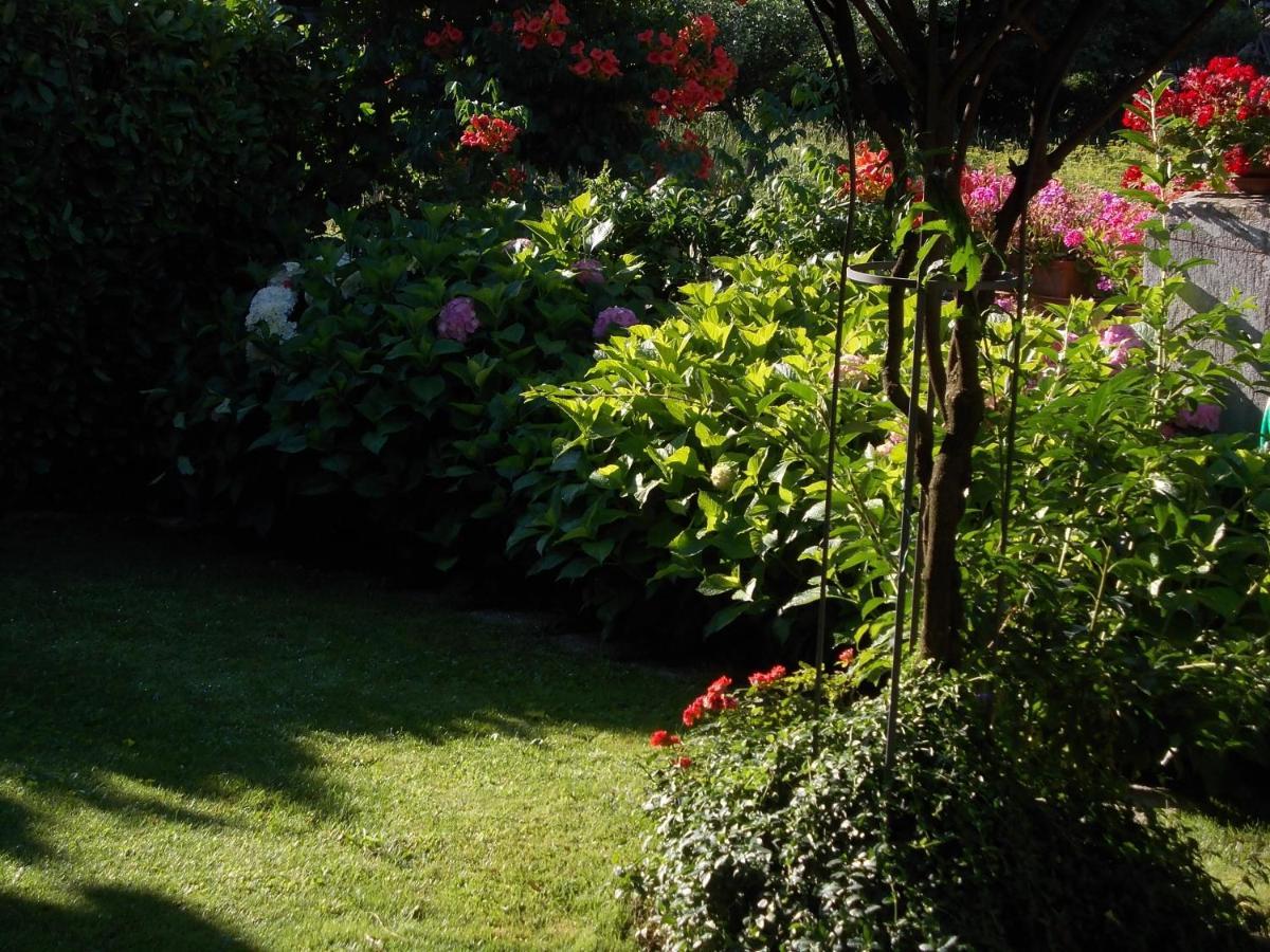 Les Hirondelles Bed and Breakfast Fenis Εξωτερικό φωτογραφία